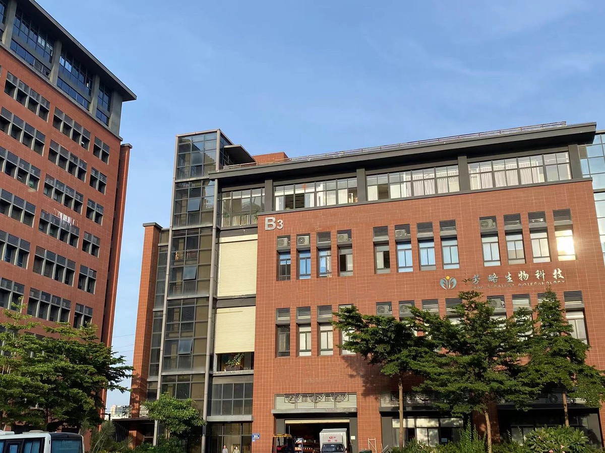 首页关于我们背景